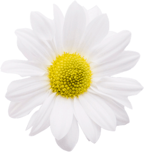 white-flower